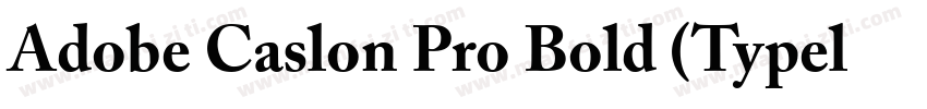 Adobe Caslon Pro Bold 租体(Typel)西方字体转换